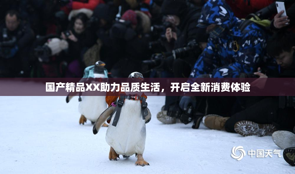 国产精品XX助力品质生活，开启全新消费体验