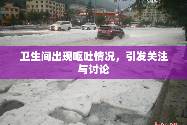 卫生间出现呕吐情况，引发关注与讨论