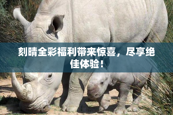 刻晴全彩福利带来惊喜，尽享绝佳体验！