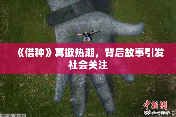 《借种》再掀热潮，背后故事引发社会关注