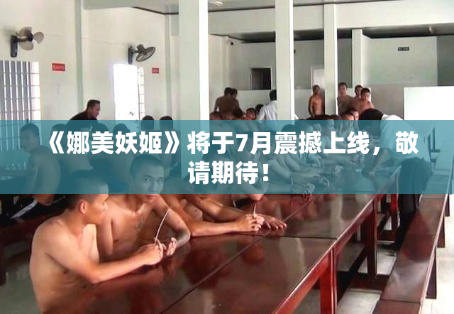 《娜美妖姬》将于7月震撼上线，敬请期待！