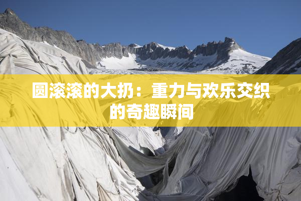 圆滚滚的大扔：重力与欢乐交织的奇趣瞬间