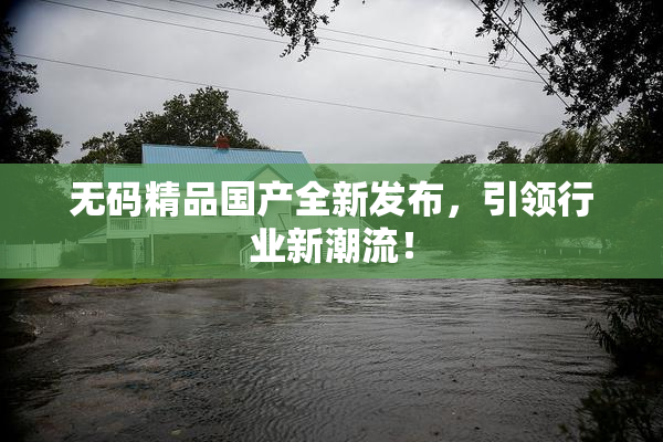 无码精品国产全新发布，引领行业新潮流！