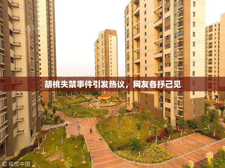 胡桃失禁事件引发热议，网友各抒己见