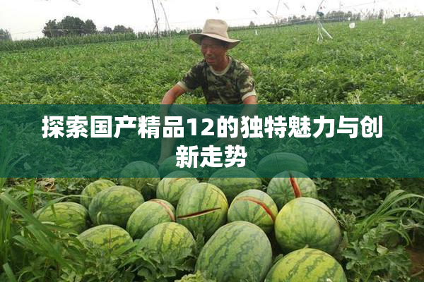探索国产精品12的独特魅力与创新走势