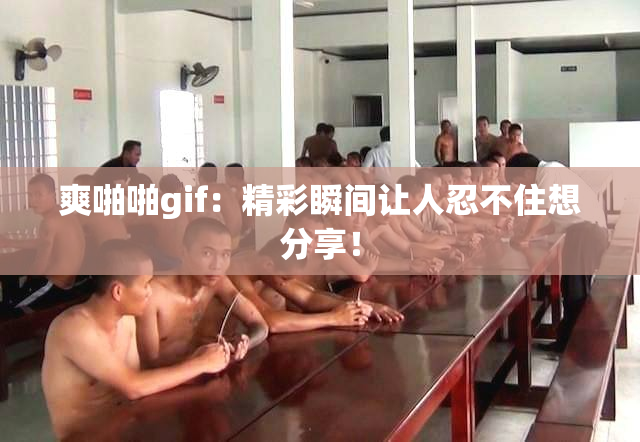 爽啪啪gif：精彩瞬间让人忍不住想分享！