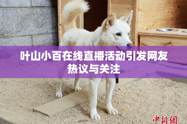 叶山小百在线直播活动引发网友热议与关注