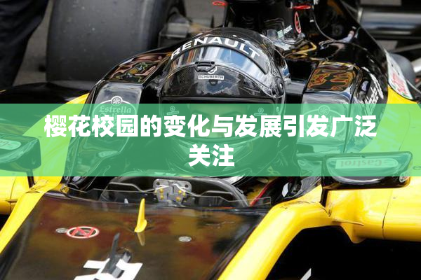 樱花校园的变化与发展引发广泛关注