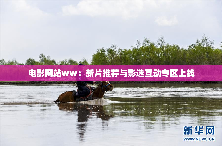 电影网站ww：新片推荐与影迷互动专区上线