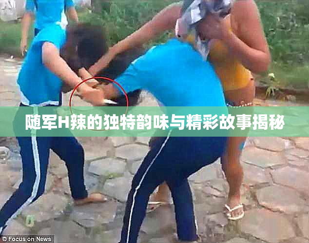 随军H辣的独特韵味与精彩故事揭秘