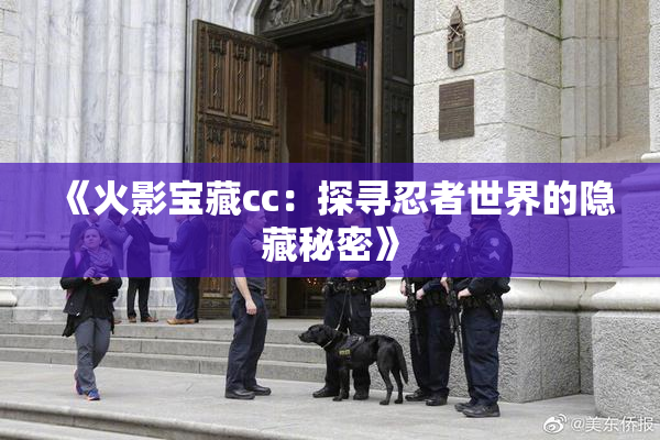 《火影宝藏cc：探寻忍者世界的隐藏秘密》