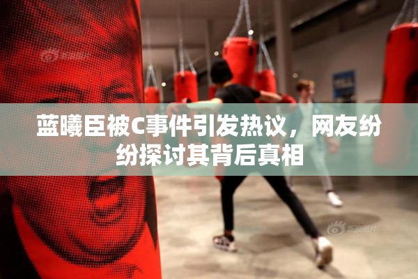 蓝曦臣被C事件引发热议，网友纷纷探讨其背后真相