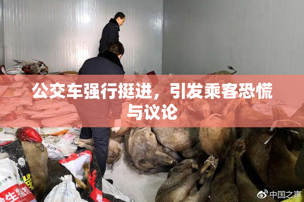 公交车强行挺进，引发乘客恐慌与议论