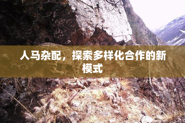 人马杂配，探索多样化合作的新模式