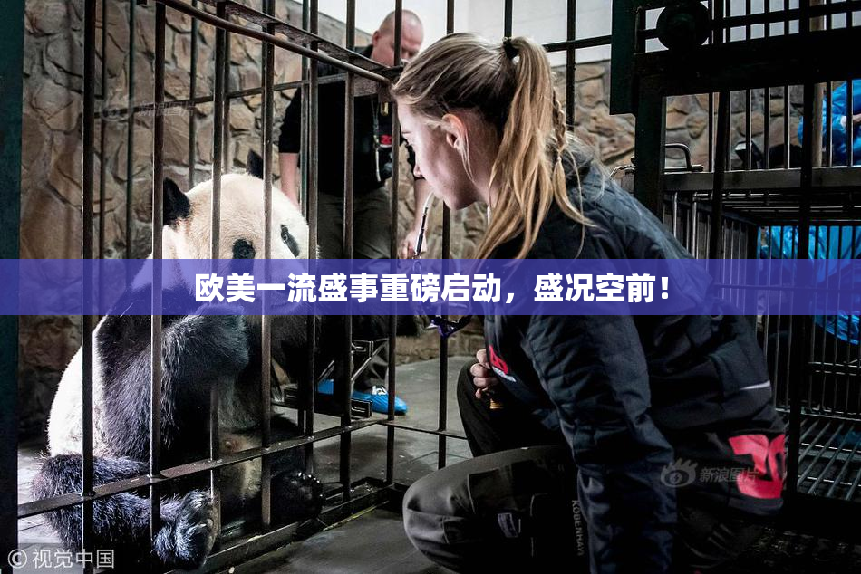 欧美一流盛事重磅启动，盛况空前！