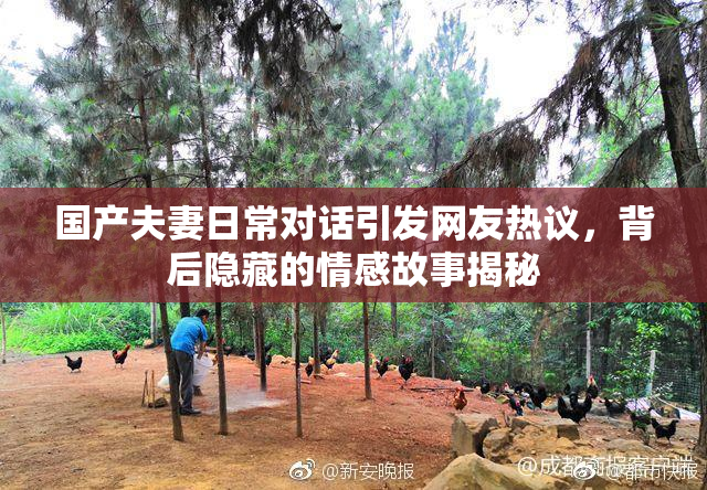 国产夫妻日常对话引发网友热议，背后隐藏的情感故事揭秘