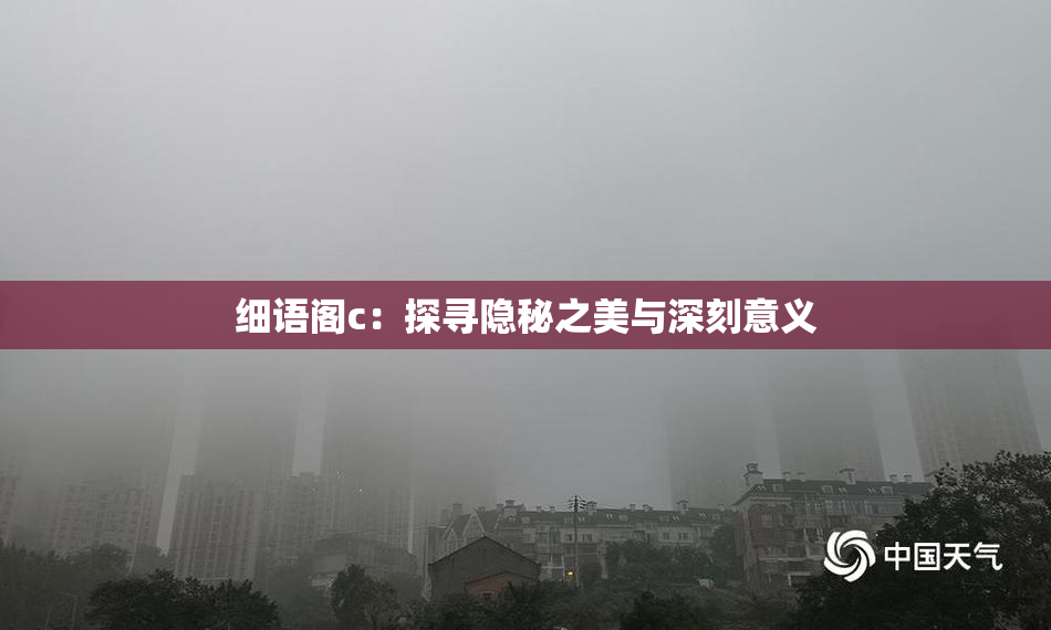 细语阁c：探寻隐秘之美与深刻意义