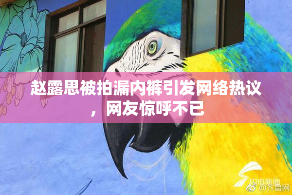 赵露思被拍漏内裤引发网络热议，网友惊呼不已