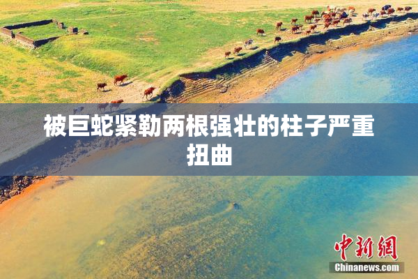 被巨蛇紧勒两根强壮的柱子严重扭曲