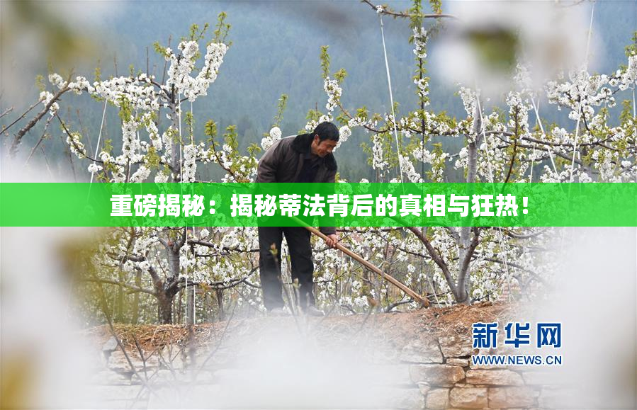 重磅揭秘：揭秘蒂法背后的真相与狂热！
