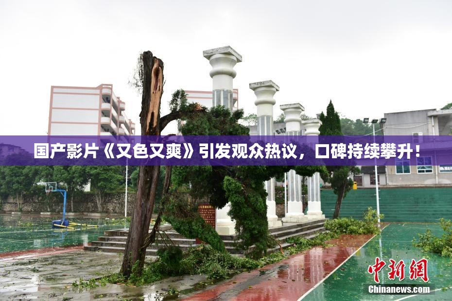 国产影片《又色又爽》引发观众热议，口碑持续攀升！