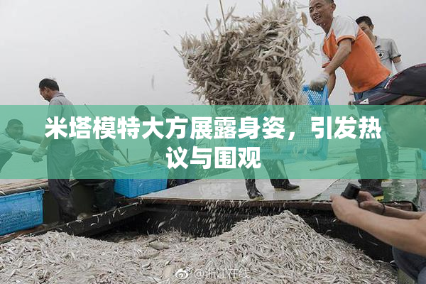 米塔模特大方展露身姿，引发热议与围观