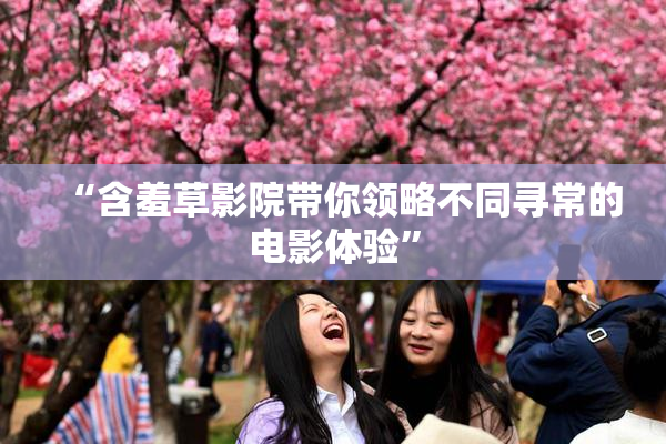 “含羞草影院带你领略不同寻常的电影体验”