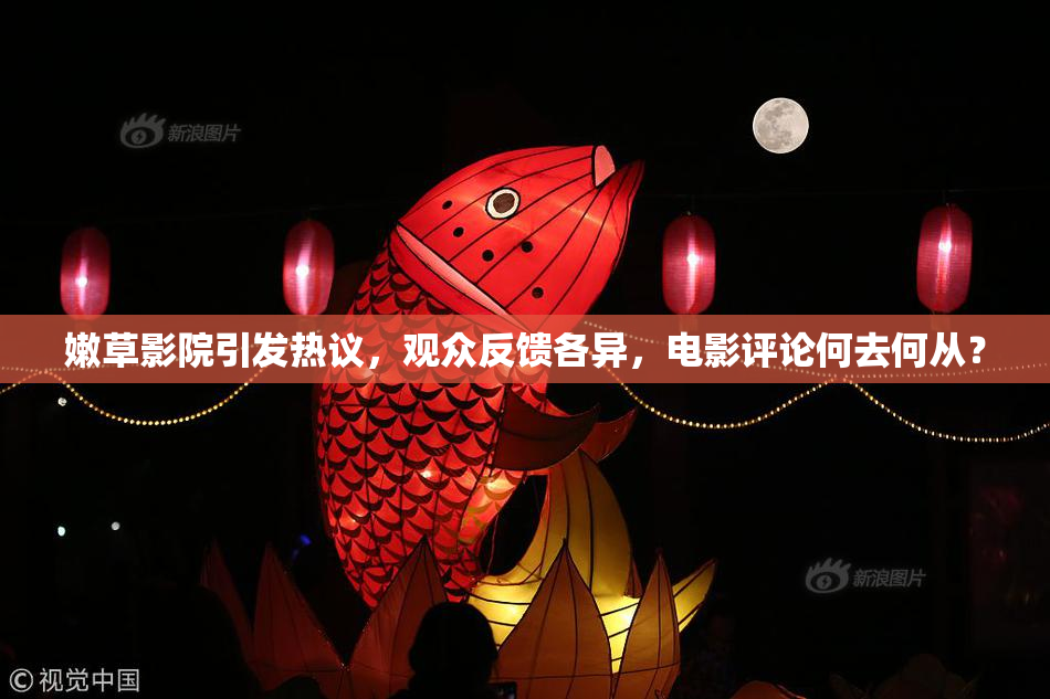 嫩草影院引发热议，观众反馈各异，电影评论何去何从？