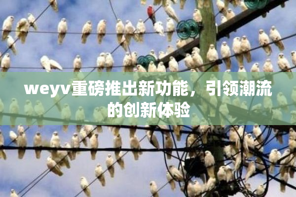 weyv重磅推出新功能，引领潮流的创新体验