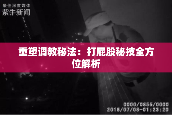 重塑调教秘法：打屁股秘技全方位解析
