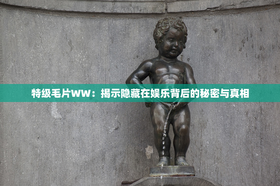 特级毛片WW：揭示隐藏在娱乐背后的秘密与真相