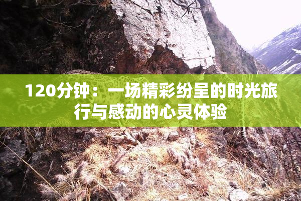 120分钟：一场精彩纷呈的时光旅行与感动的心灵体验