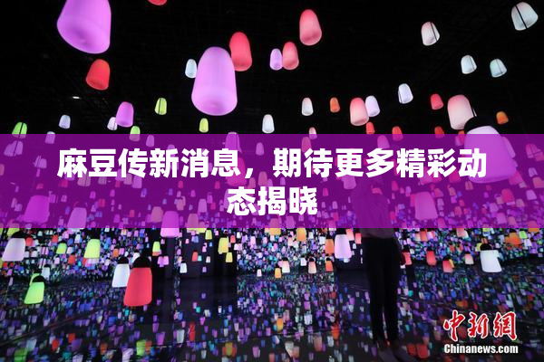 麻豆传新消息，期待更多精彩动态揭晓