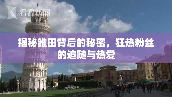 揭秘雏田背后的秘密，狂热粉丝的追随与热爱