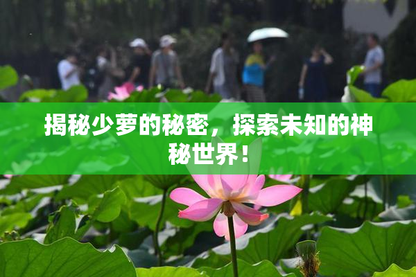 揭秘少萝的秘密，探索未知的神秘世界！