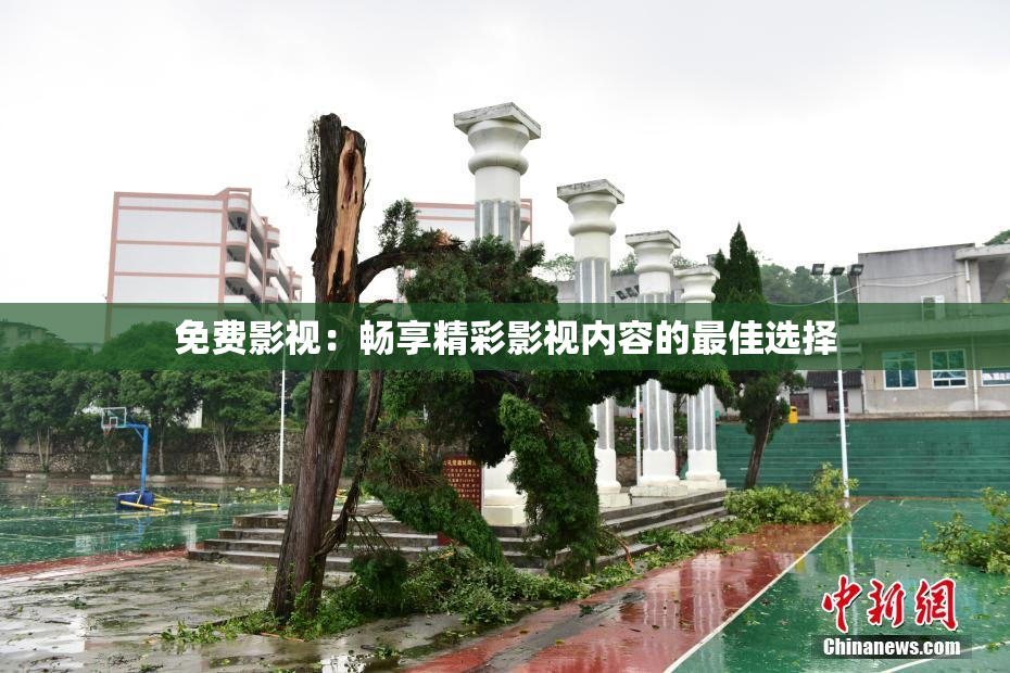 免费影视：畅享精彩影视内容的最佳选择