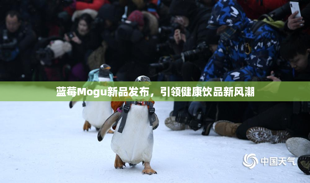 蓝莓Mogu新品发布，引领健康饮品新风潮