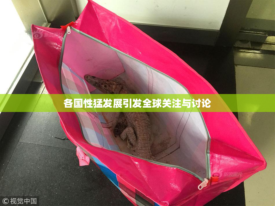 各国性猛发展引发全球关注与讨论