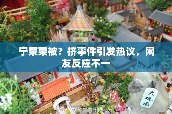 宁荣荣被？挤事件引发热议，网友反应不一