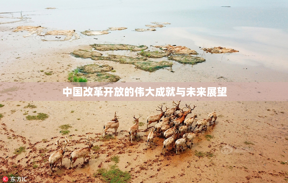 中国改革开放的伟大成就与未来展望