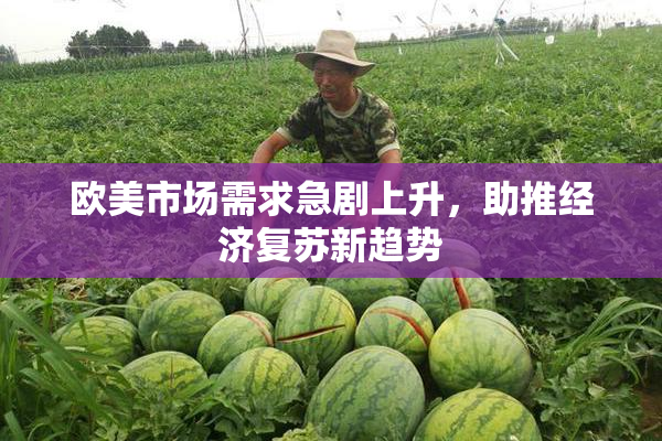 欧美市场需求急剧上升，助推经济复苏新趋势
