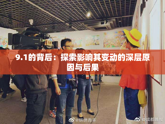 9.1的背后：探索影响其变动的深层原因与后果