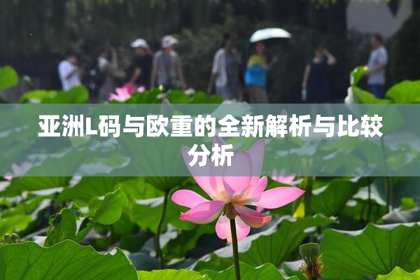 亚洲L码与欧重的全新解析与比较分析