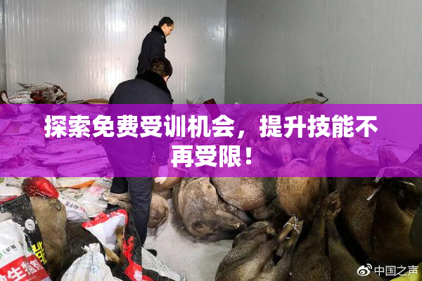 探索免费受训机会，提升技能不再受限！