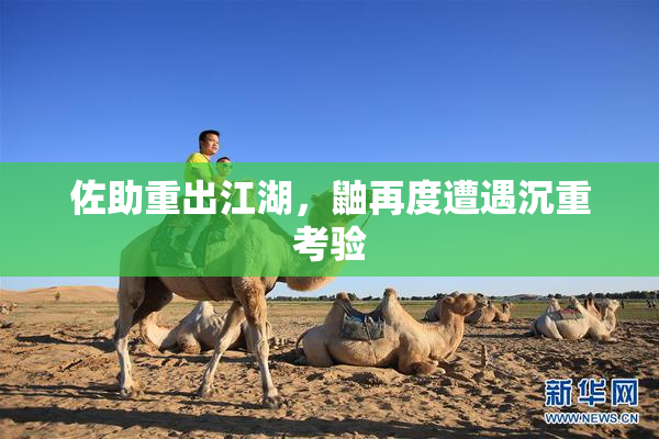 佐助重出江湖，鼬再度遭遇沉重考验