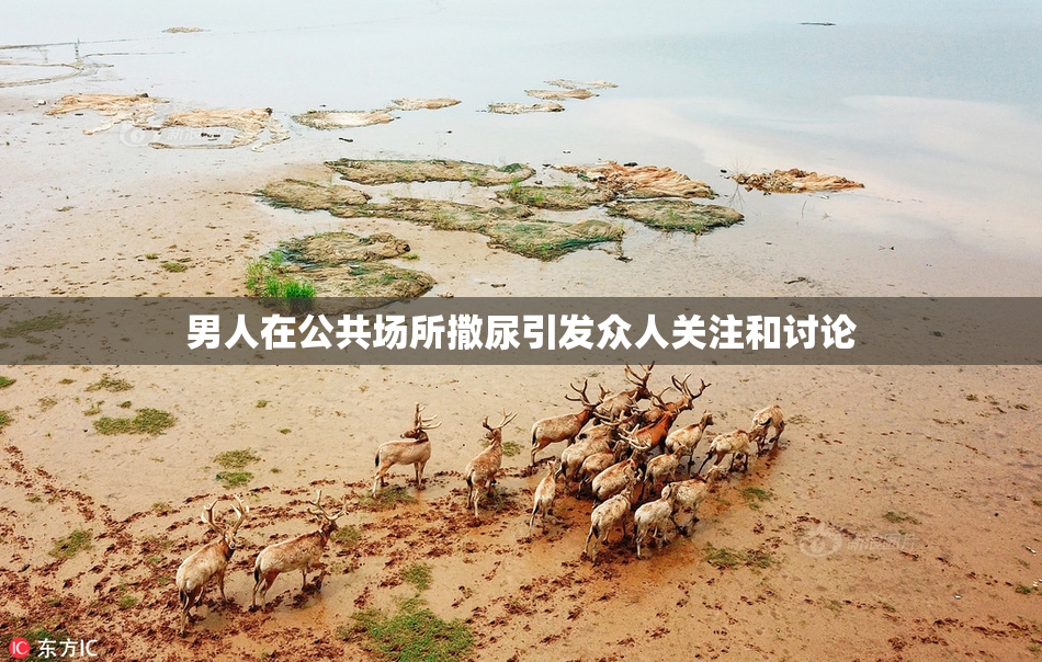 男人在公共场所撒尿引发众人关注和讨论