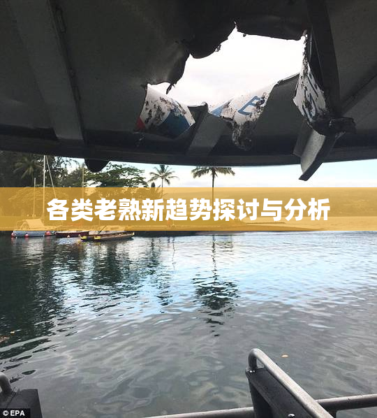 各类老熟新趋势探讨与分析