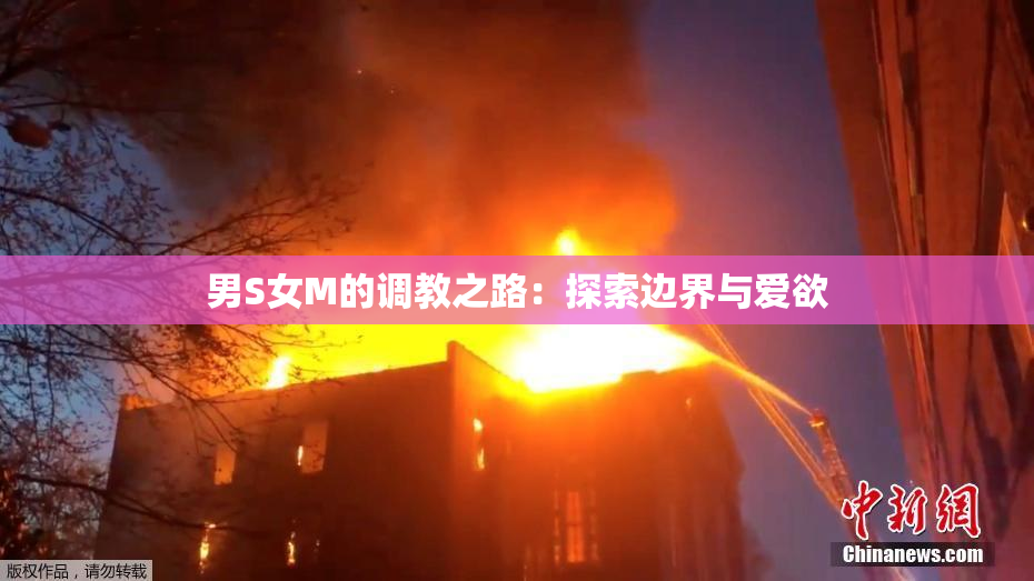 男S女M的调教之路：探索边界与爱欲