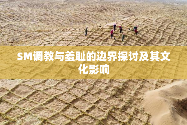 SM调教与羞耻的边界探讨及其文化影响