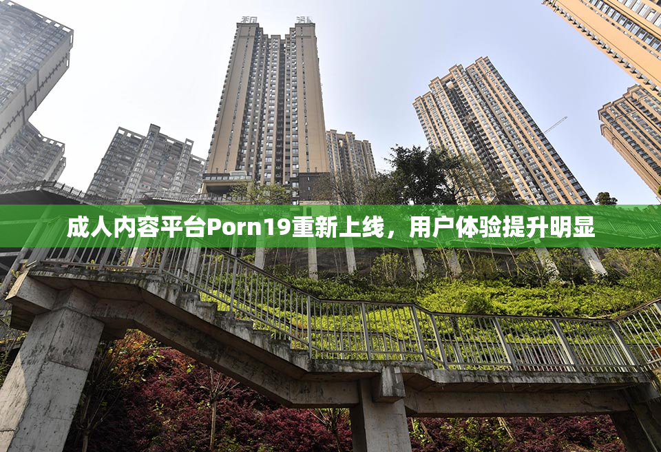 成人内容平台Porn19重新上线，用户体验提升明显
